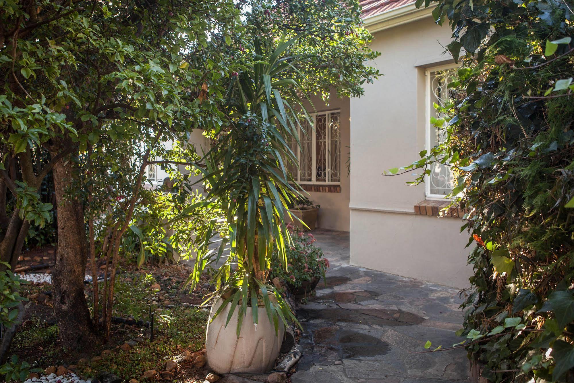 The Lions Guest House Kapstadt Exterior foto
