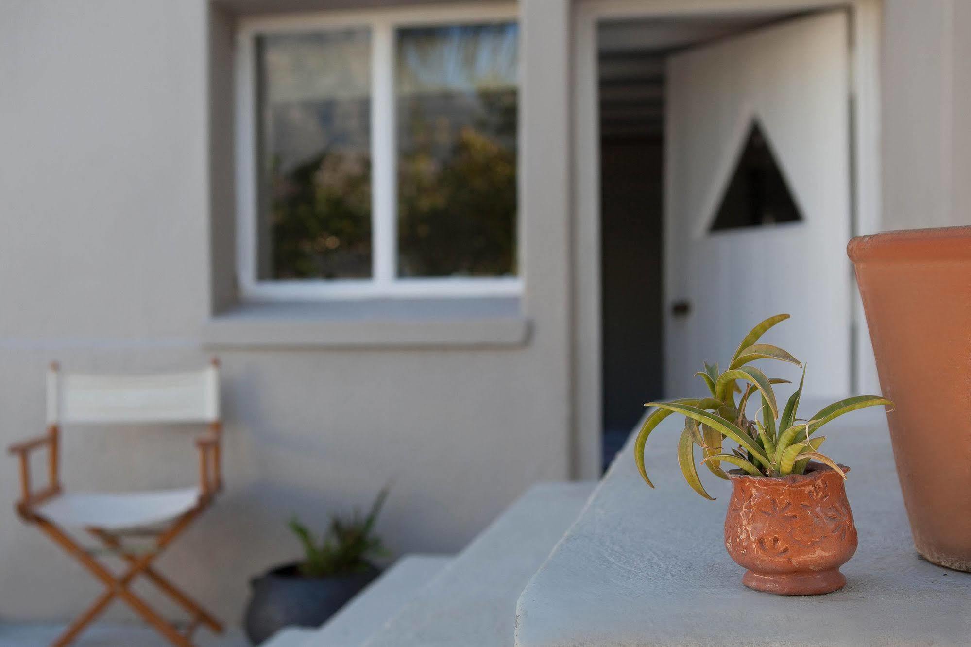 The Lions Guest House Kapstadt Exterior foto